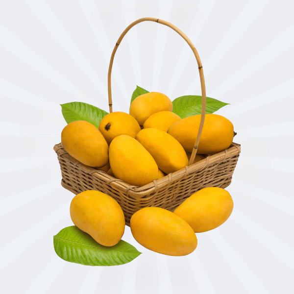 Chaunsa / Chosha Mango (Ripened) :: FRESH 5kg up