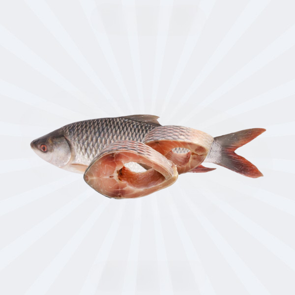 Rui / Ruhi / Rohu Fish (in Block)