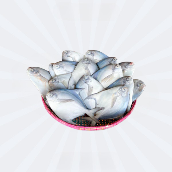 Rupchanda/ Silver Pomfret 8-10pcs [A Quality]